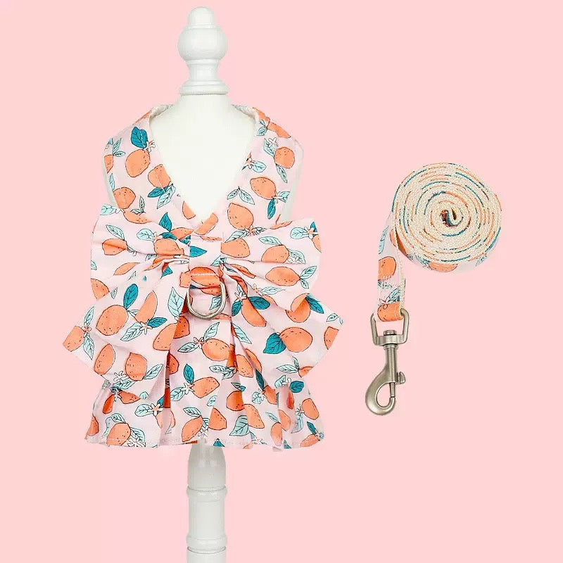 Summer Thin Chest-Back Leash: Breathable and Comfortable, Suitable for Small Dogs and Cats"